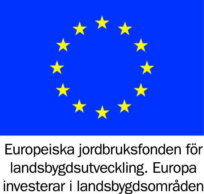 Europeisk symbol